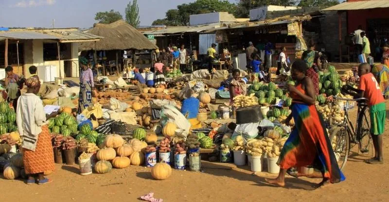 Zambia – idealny czas na podróż w każdym sezonie