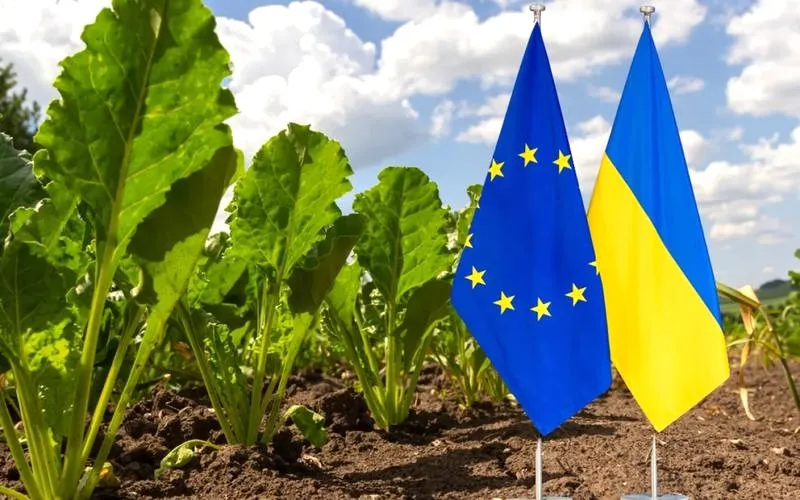 Ile benzyny można przewieźć z Ukrainy? Praktyczny przewodnik dla kierowców