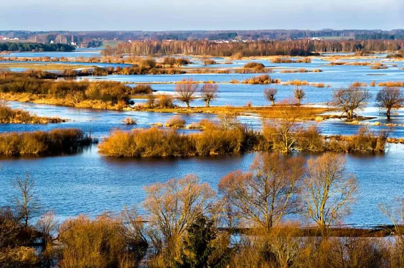 Flora i fauna Biebrzańskiego Parku