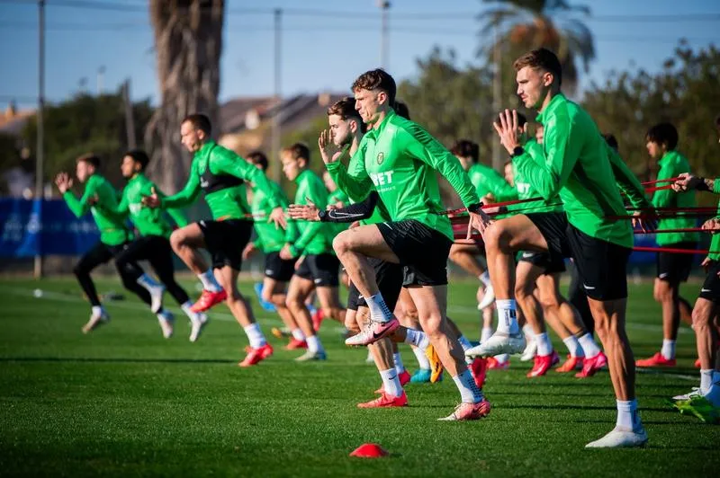 Porady dla podróżnych przed lotem