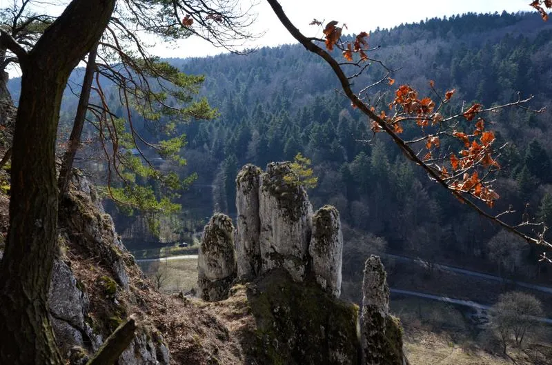 Samochód czy rower do Ojcowa