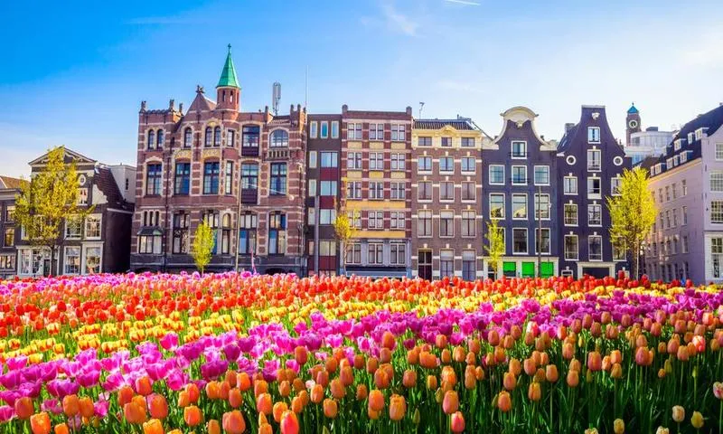 Zwiedzanie Holandii